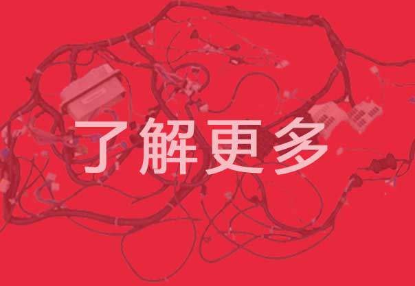 岳阳LETOU-乐投官网线束MES系统